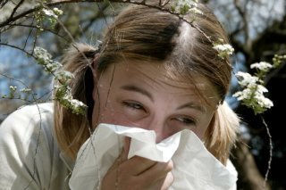 La floraison de certains arbres plus tôt dans la saison fait souffrir les personnes allergiques. Keystone/